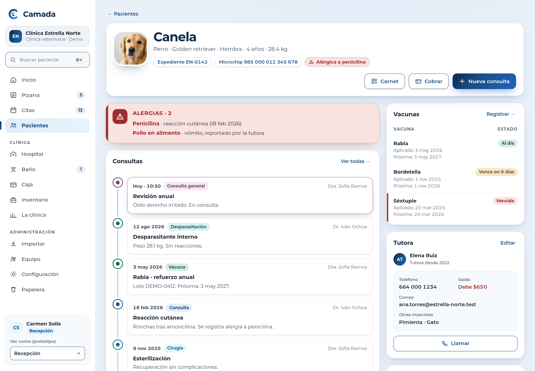 Camada · Expediente: pantalla de Camada con datos de ejemplo