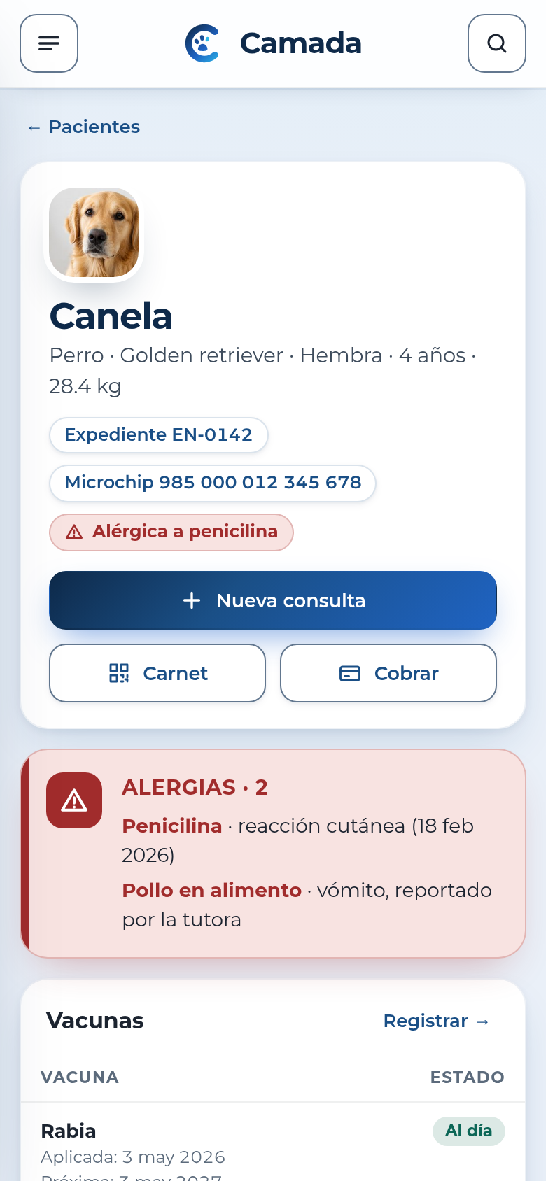 Expediente de Canela en el celular, datos de ejemplo