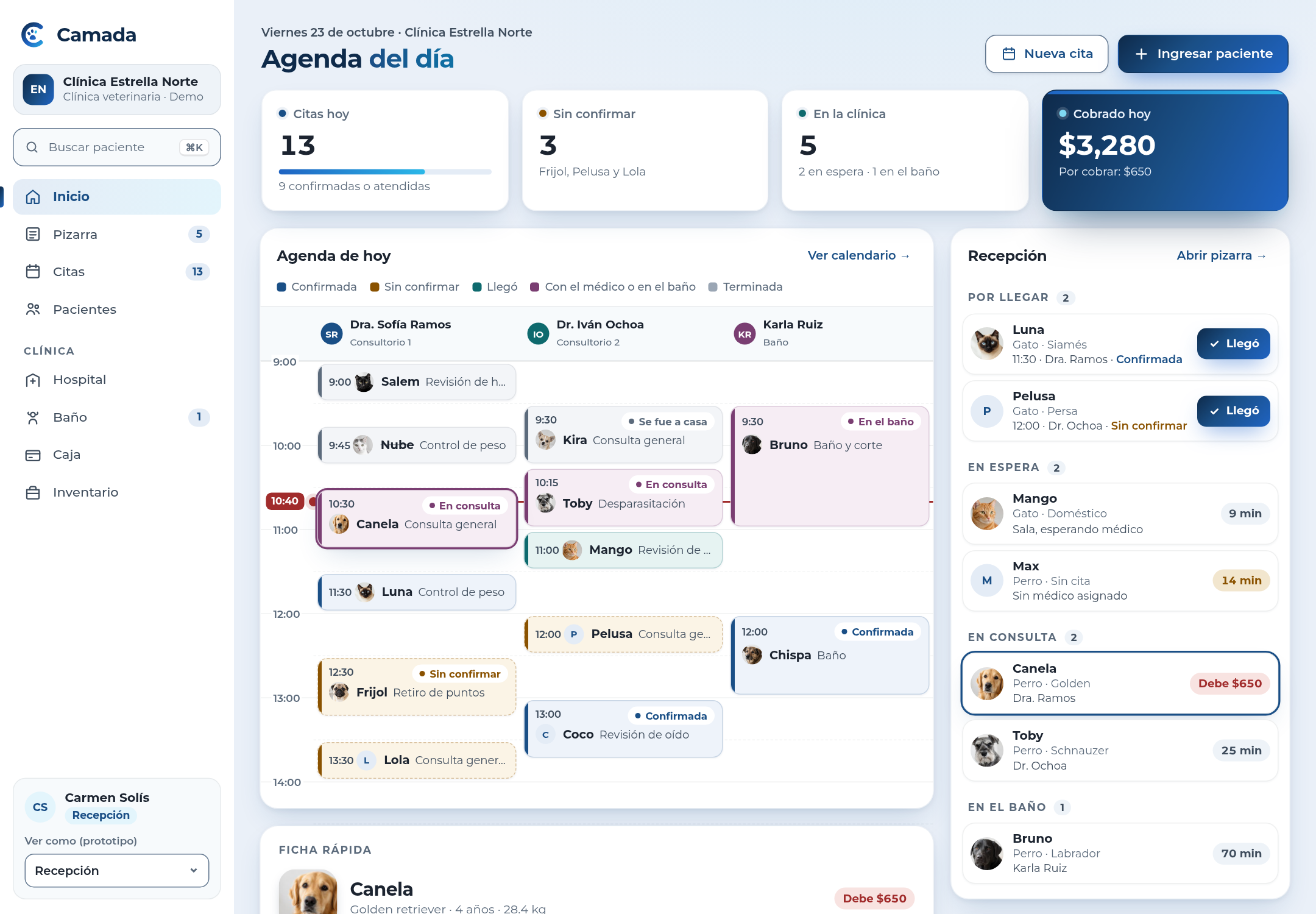 Camada · Recepción: pantalla de Camada con datos de ejemplo